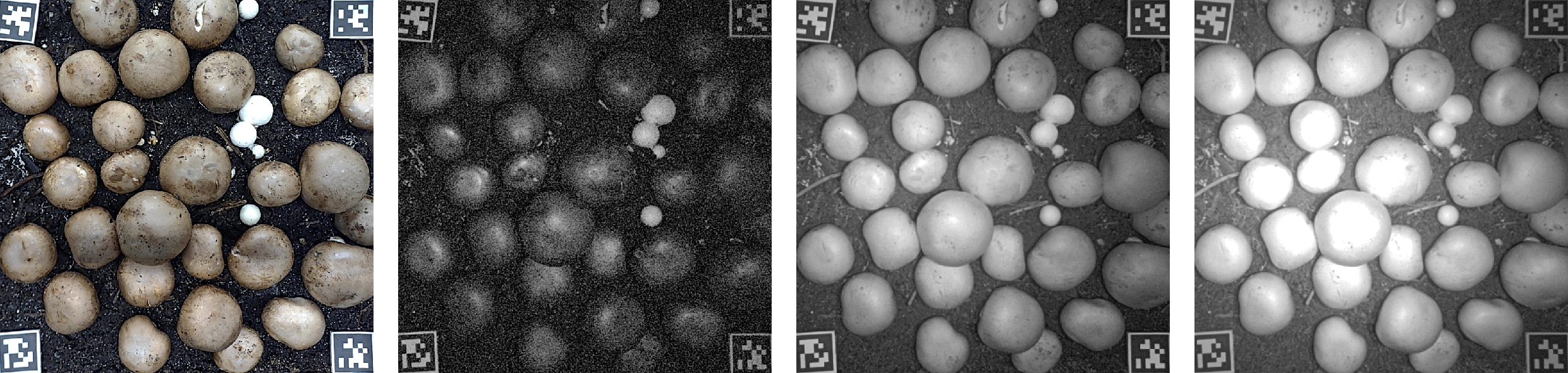 Imaging Conditions Comparison