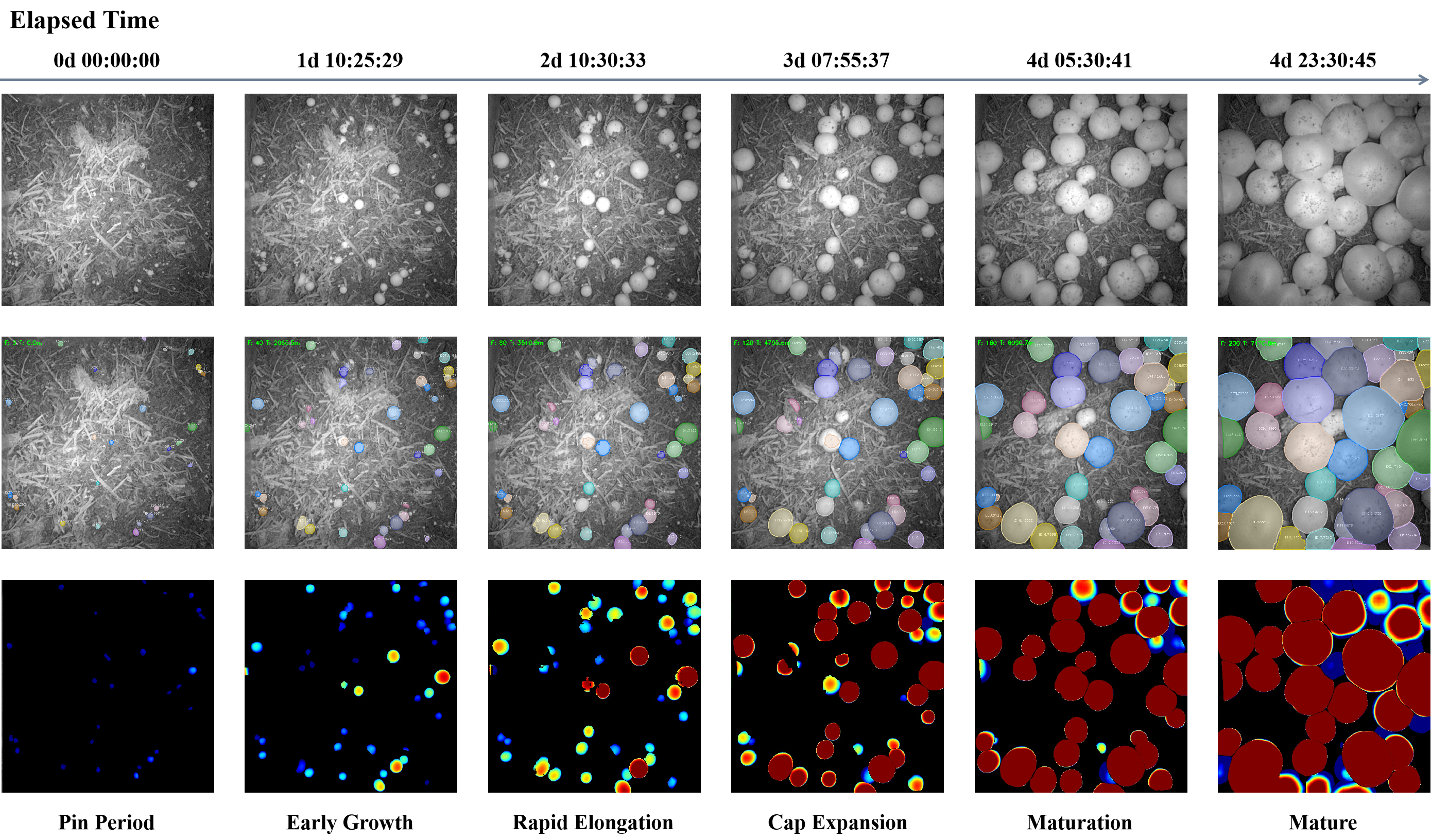 Monocular infrared imaging for high-throughput time-series phenotyping and instance-level growth modeling of mushrooms