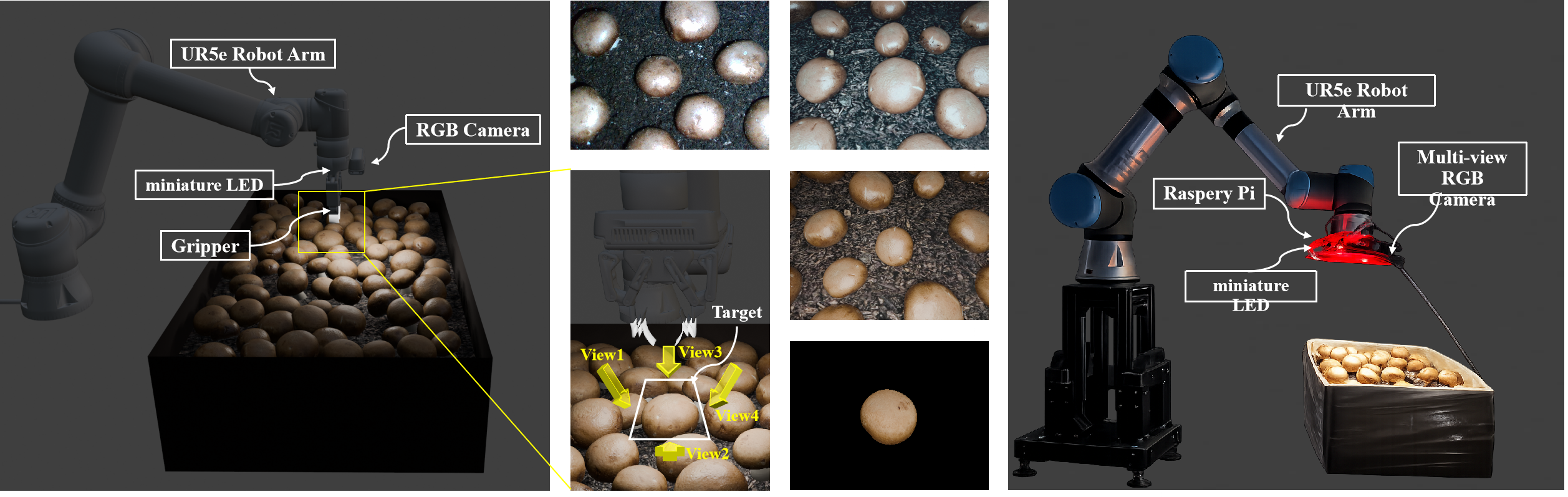 Improving Mushroom Pose Estimation with Synthetic Data Scaling and Multi-View Attention Fusion